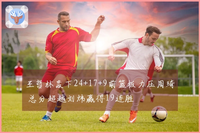王哲林轰下24+17+9前篮板力压周琦 总分超越刘炜赢得19连胜