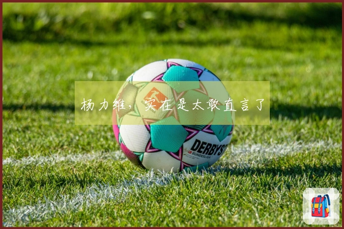 杨力维，实在是太敢直言了